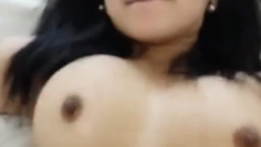 Lavia