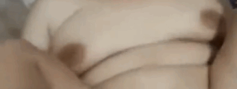 Bulik Desti